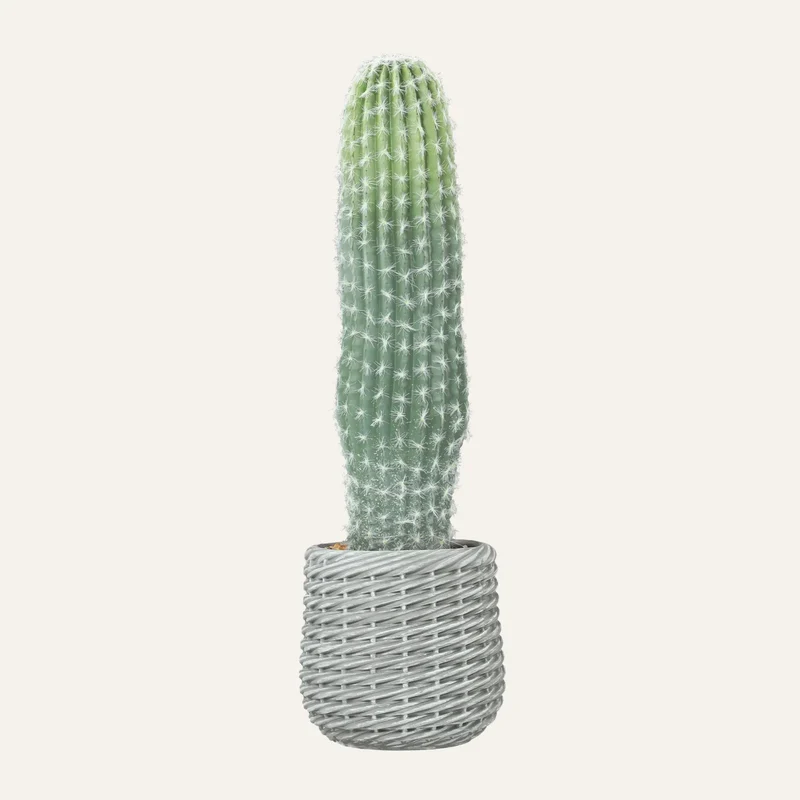 Grand Cactus Artificiel