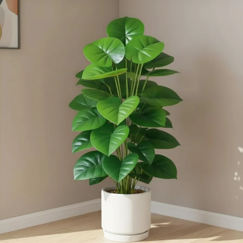 Homalomena Artificielle