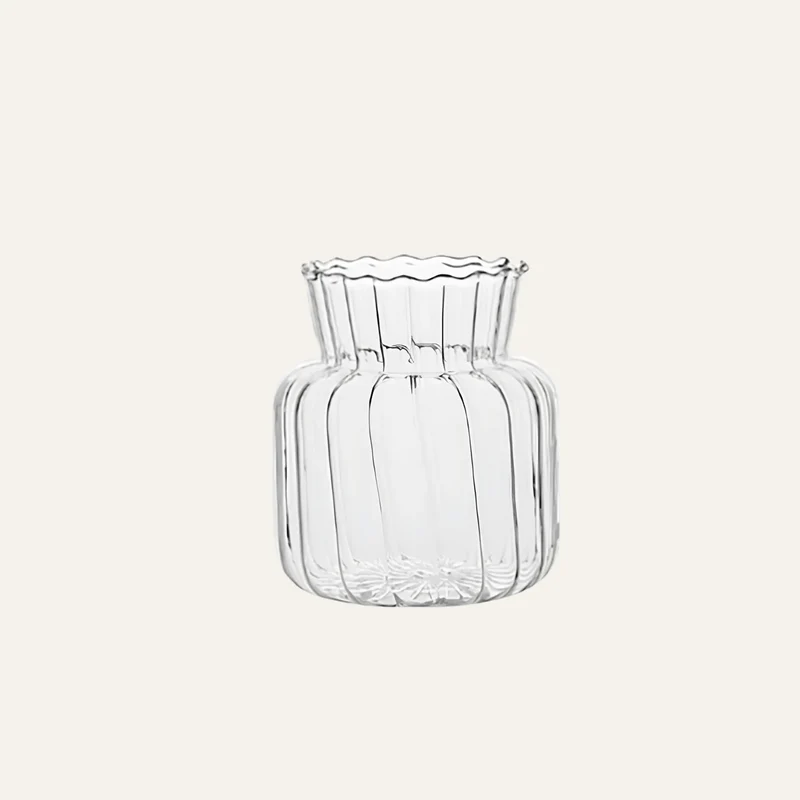 Vase en Verre Transparent