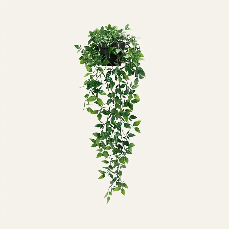 Plante Suspendue Artificielle