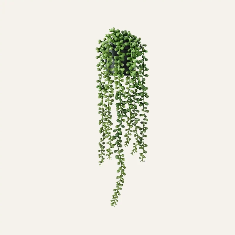 Plante Suspendue Artificielle