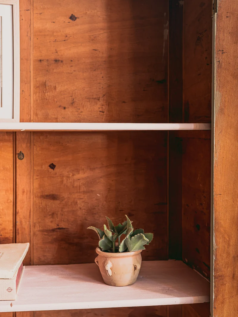 Blandine, l'armoire parisienne en bois gris sauge N°495