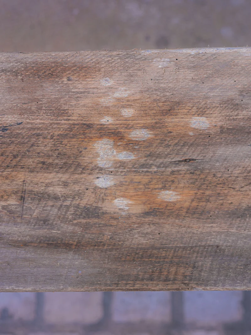 Antoine, le grand banc de ferme N°506