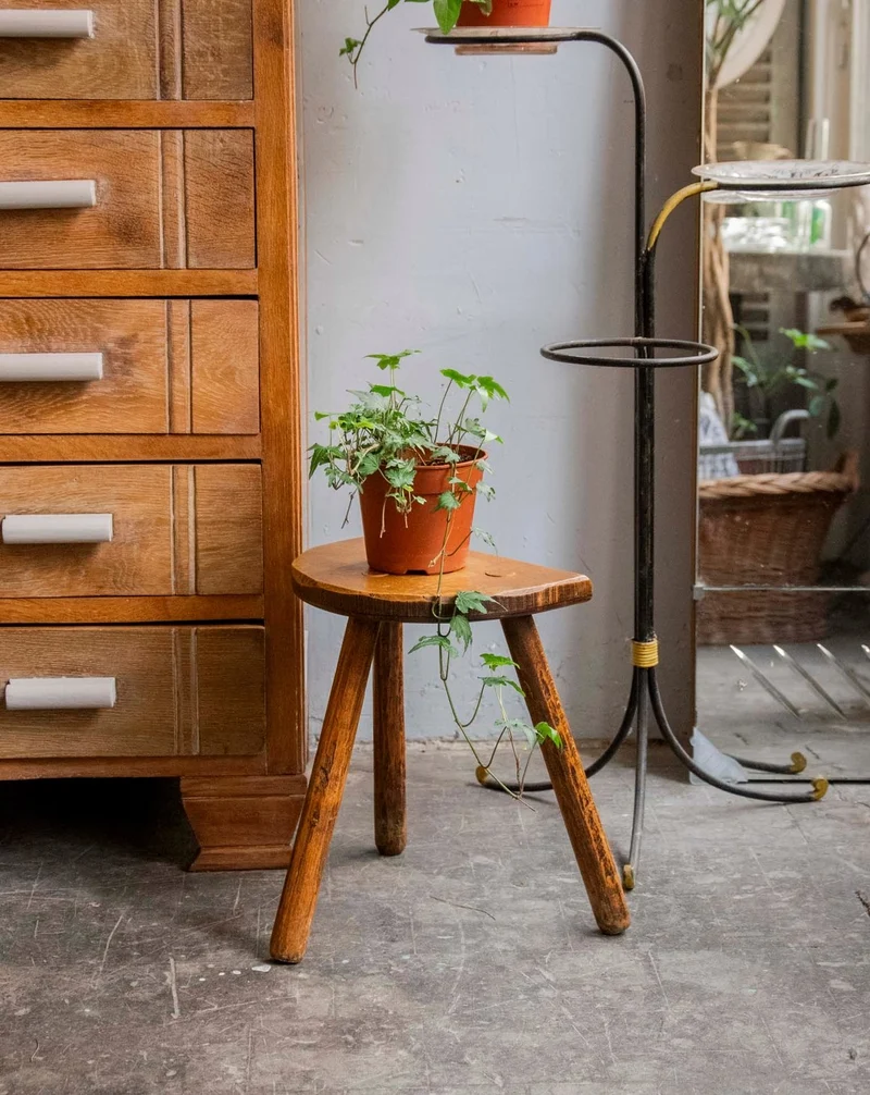 Regis, le tabouret porte-plante au style tripode N°1545