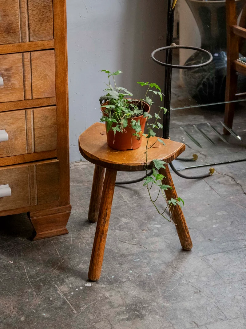 Regis, le tabouret porte-plante au style tripode N°1545
