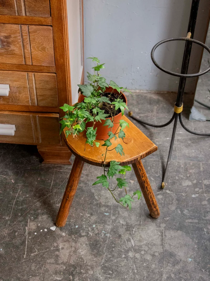 Regis, le tabouret porte-plante au style tripode N°1545