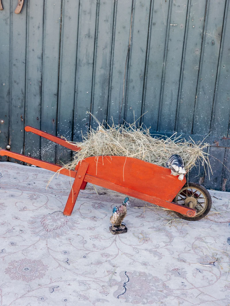 Noah, le jouet pour enfant brouette N°25