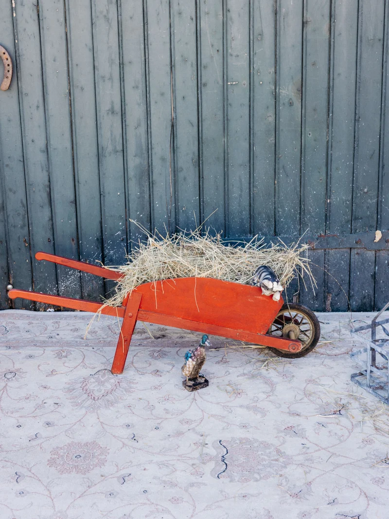 Noah, le jouet pour enfant brouette N°25