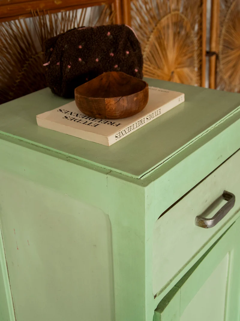 Guy, le garde-manger champêtre teint vert N°55