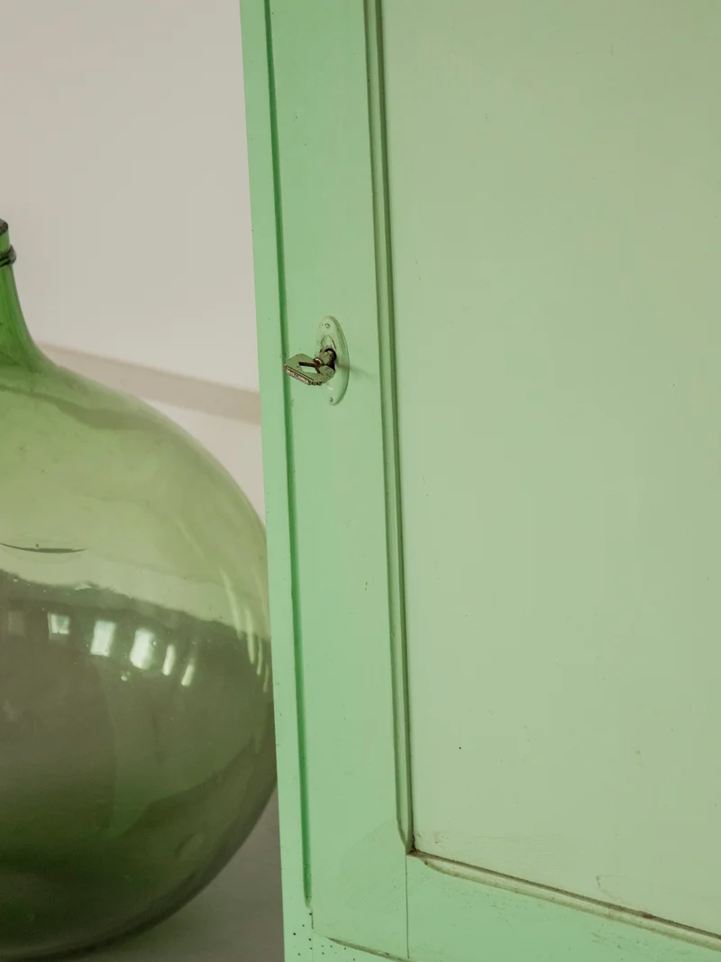 Guy, le garde-manger champêtre teint vert N°55