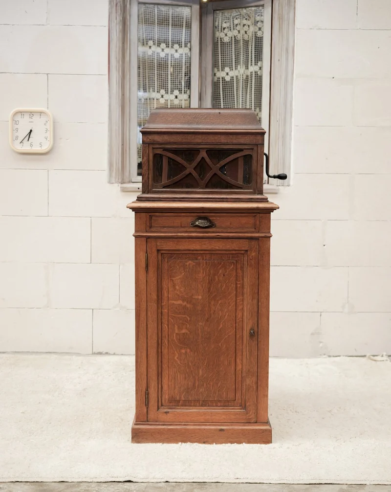 Blandine, l'armoire à disques N°513