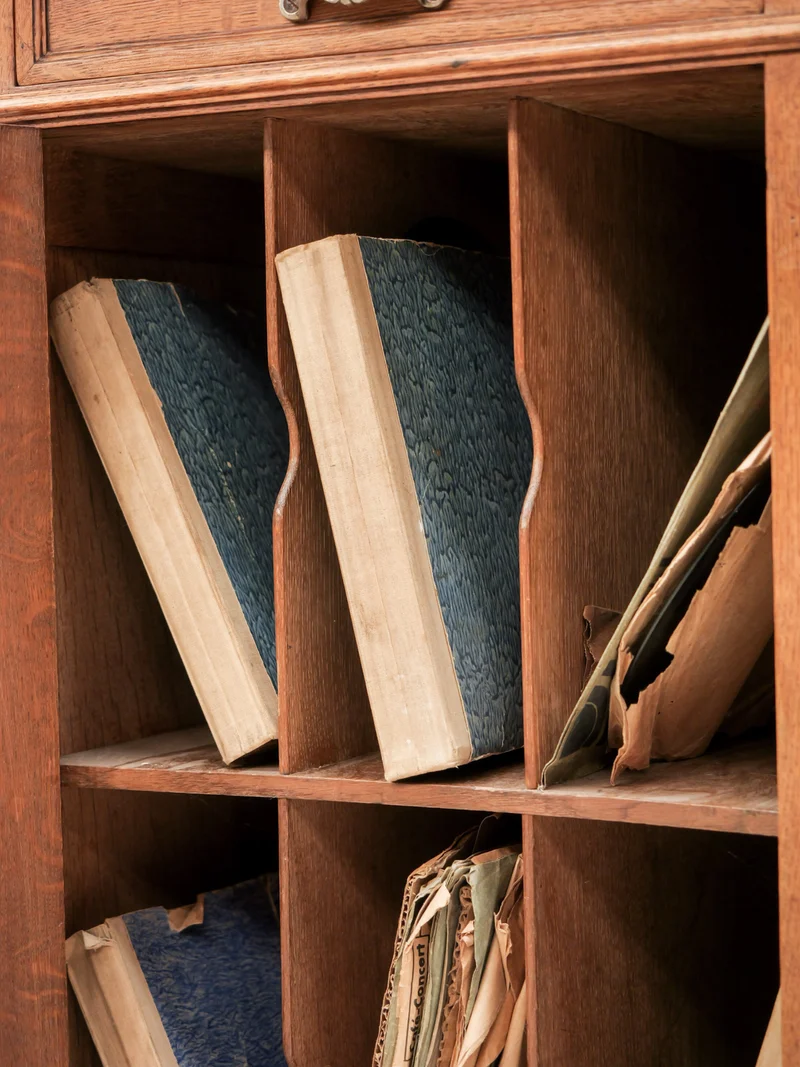 Blandine, l'armoire à disques N°513