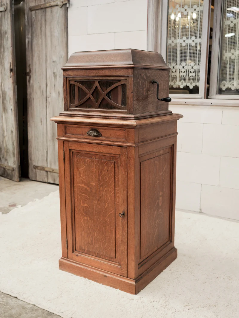 Blandine, l'armoire à disques N°513