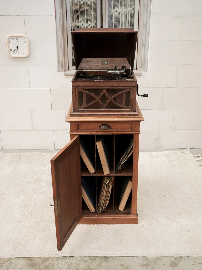 Blandine, l'armoire à disques N°513