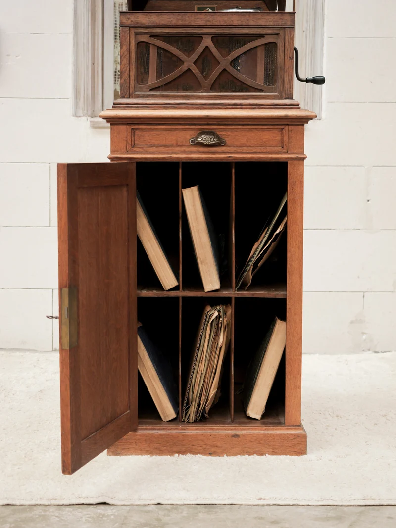 Blandine, l'armoire à disques N°513