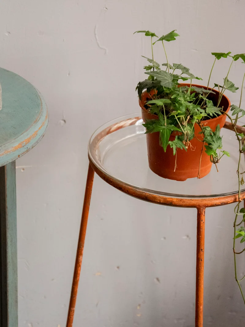 Ariel, le porte-plante en verre et métal N°552