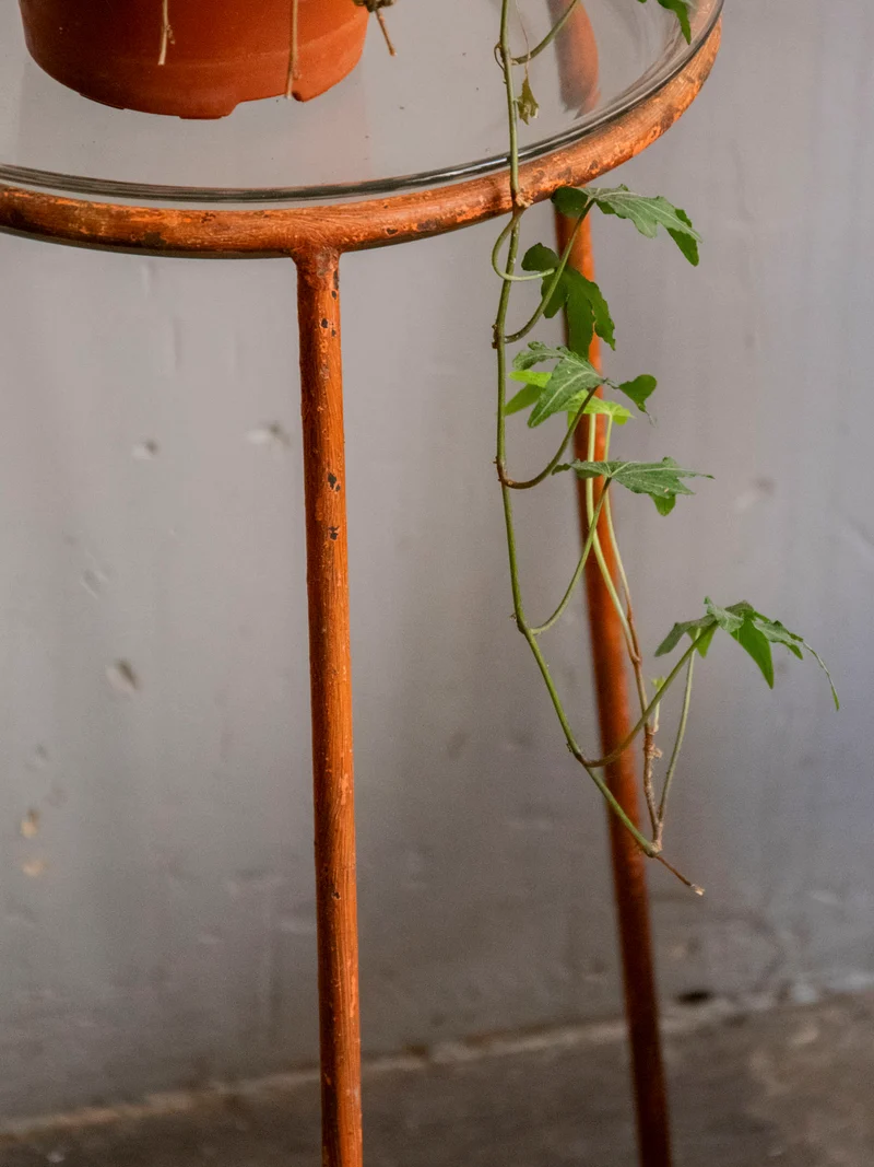 Ariel, le porte-plante en verre et métal N°552