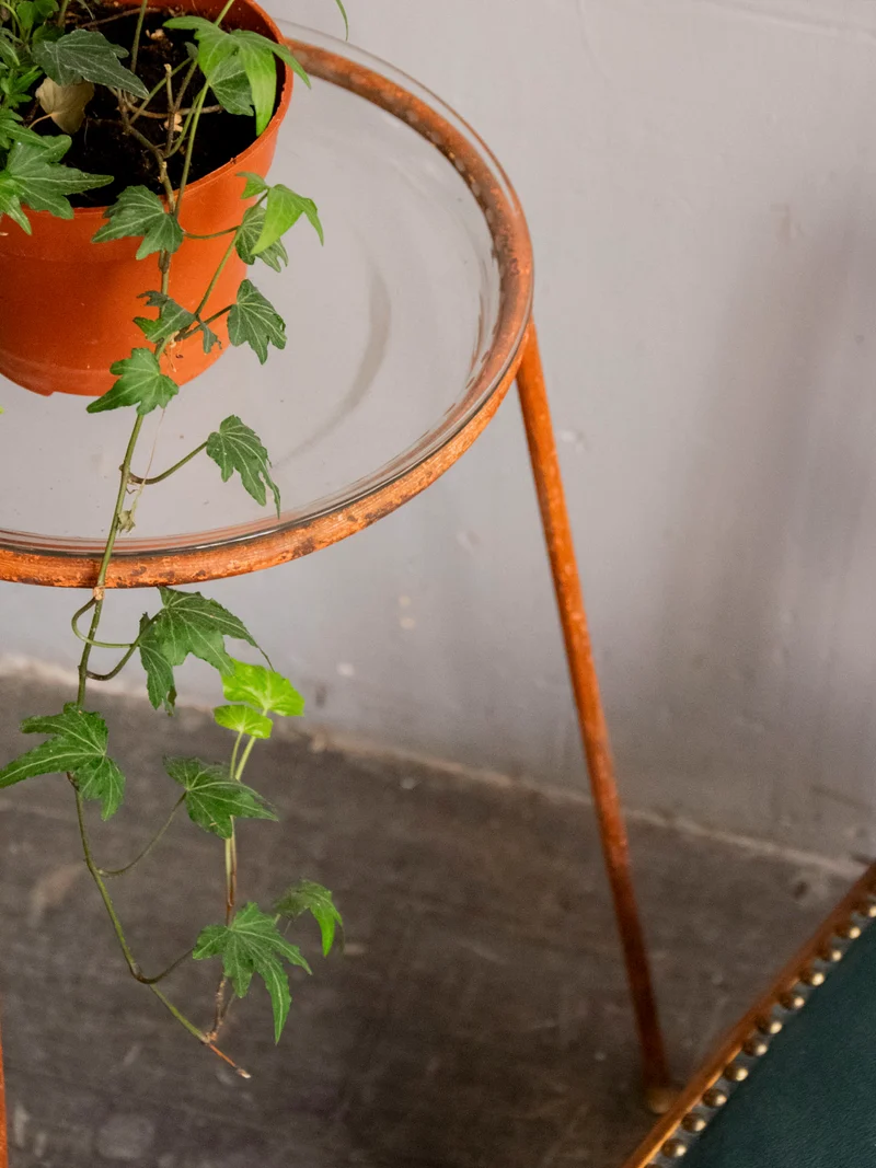 Ariel, le porte-plante en verre et métal N°552