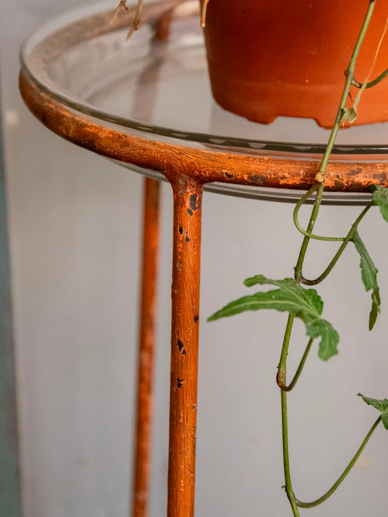 Ariel, le porte-plante en verre et métal N°552
