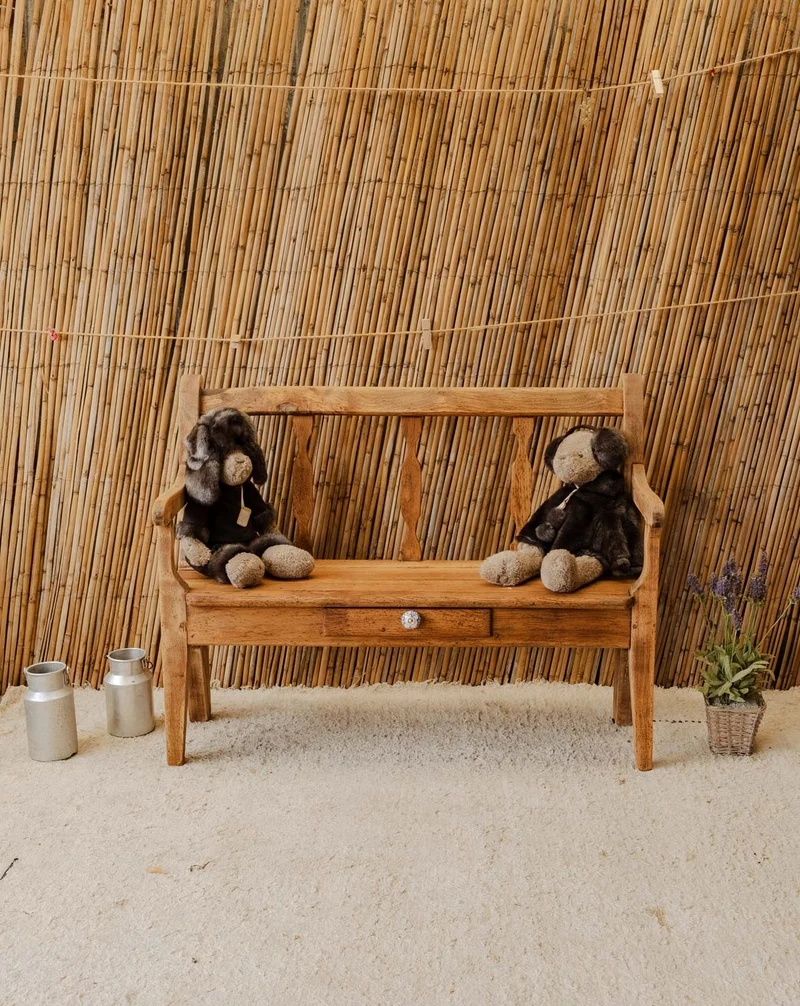 Antoine, le banc en bois N°522