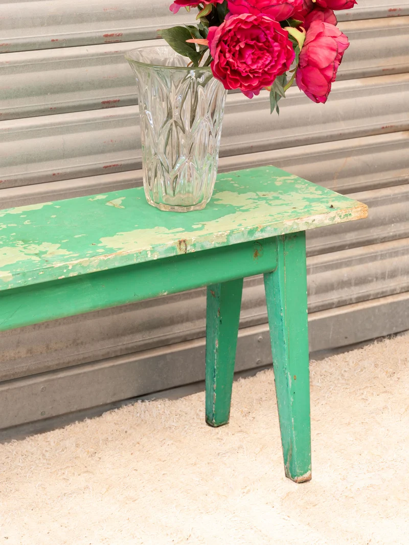 Antoine, le banc en bois vert N°467