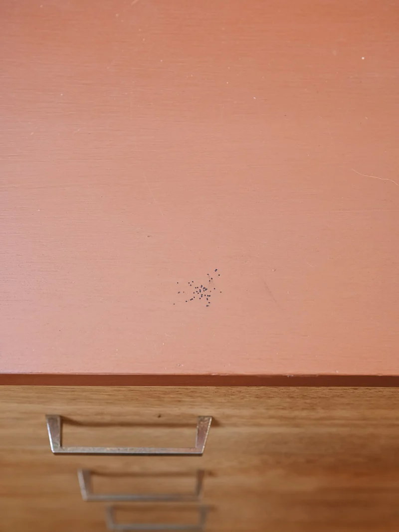 Olga, la commode scandinave en bois N°1085