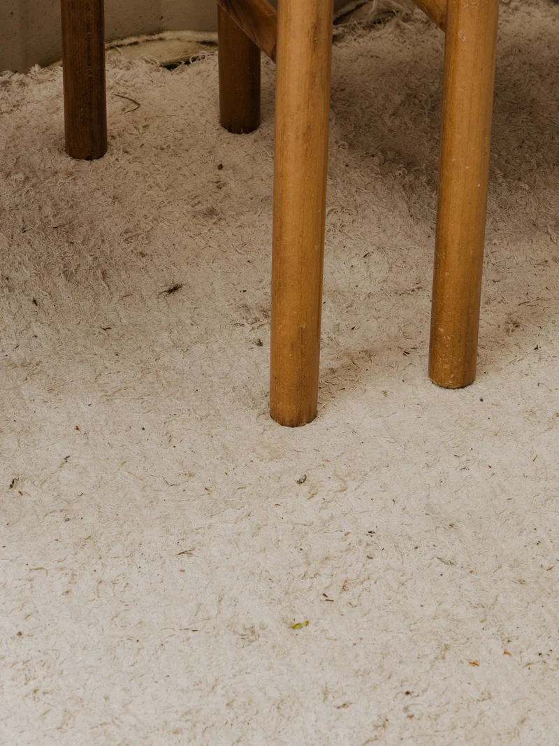 Alma, la paire de chaises Baumann en bois et cuir N°1547