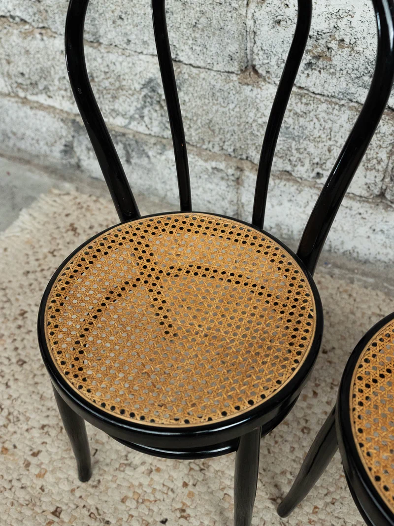 Claude, la paire de chaises esprit Fishel Thonet N°1500