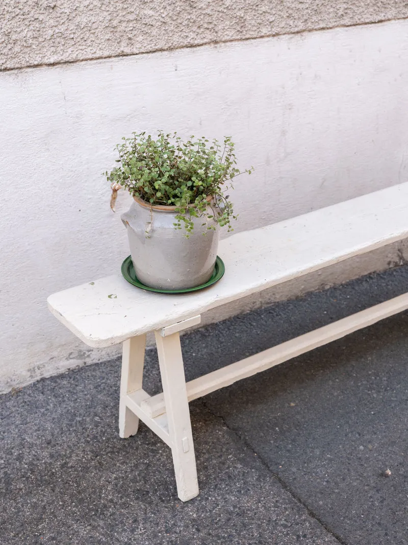 Antoine, le banc en bois blanc N°513