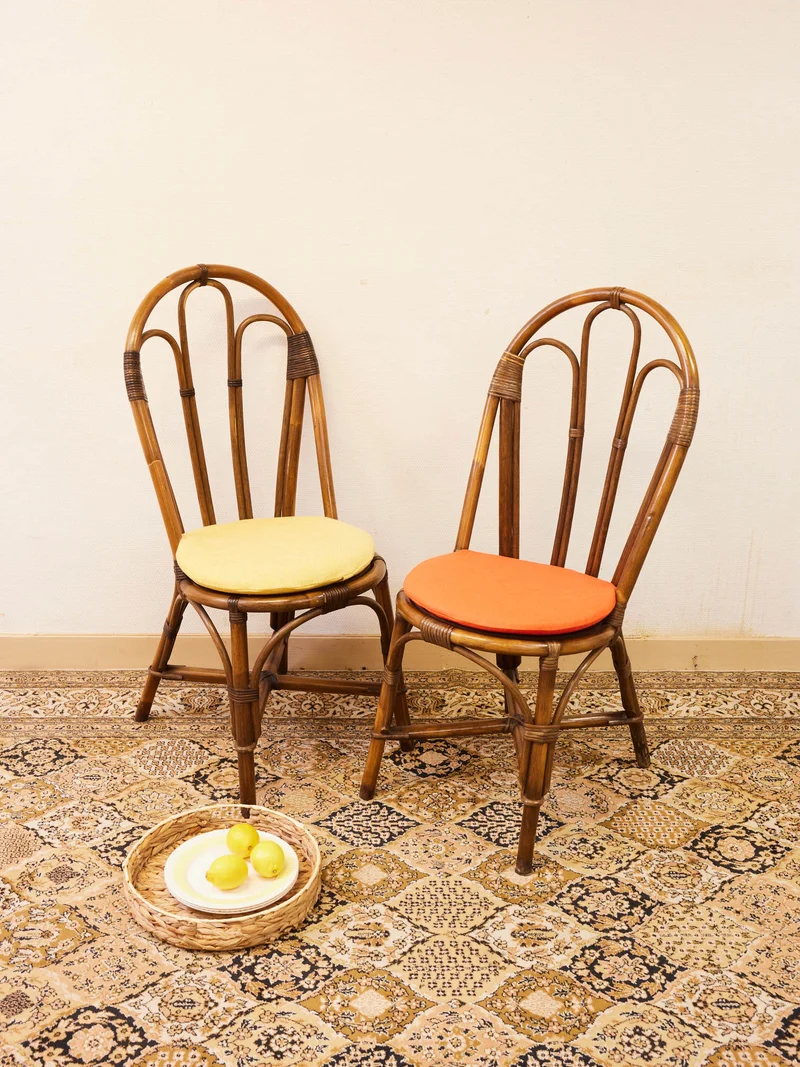 Claude, la paire de chaises en rotin N°1586