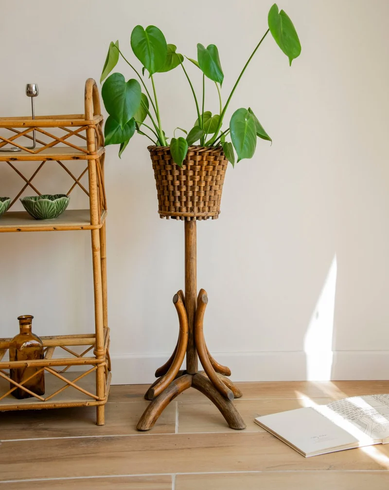 Ariel, le porte-plante tressé en bois foncé N°549