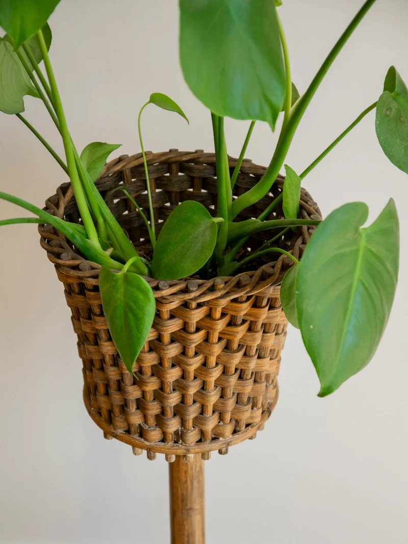 Ariel, le porte-plante tressé en bois foncé N°549