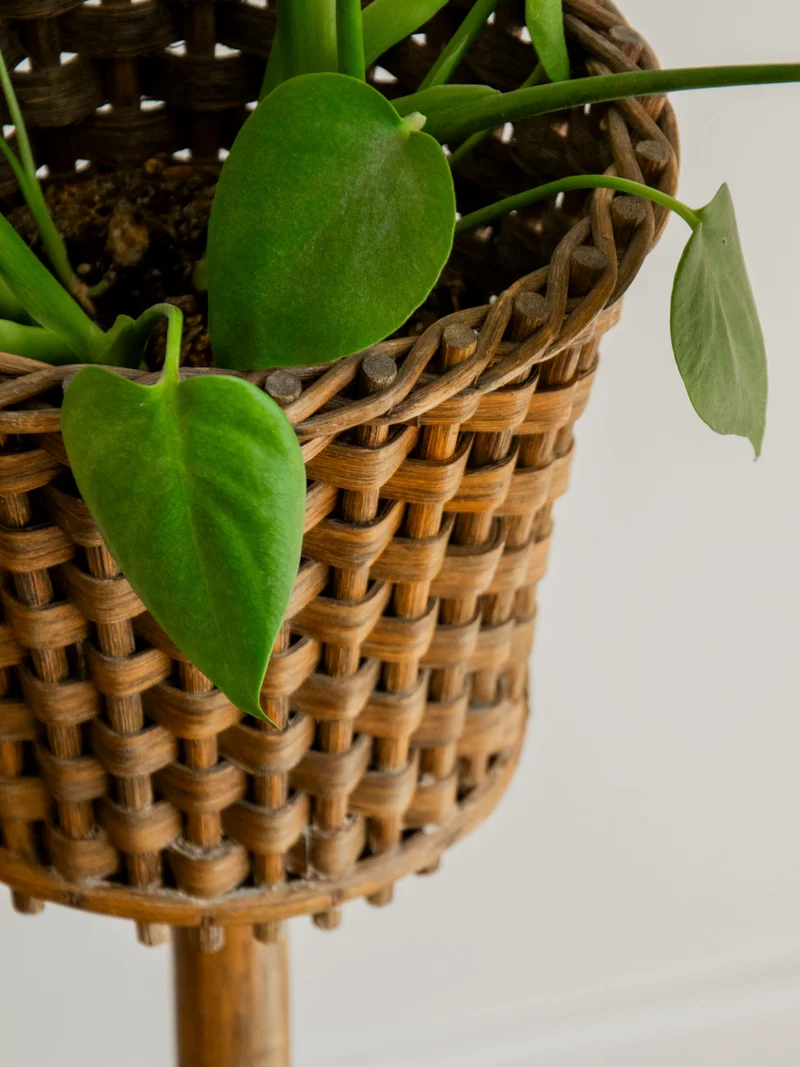 Ariel, le porte-plante tressé en bois foncé N°549