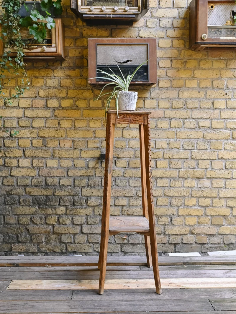 Ariel, le porte-plante N°548