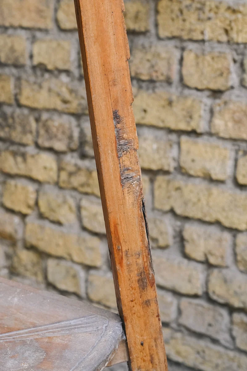 Ariel, le porte-plante N°548