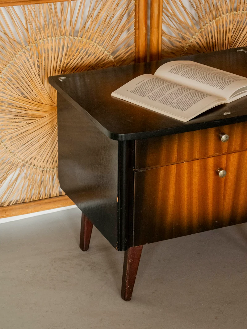 Maïa, la paire de tables de chevet mid-century N°1581