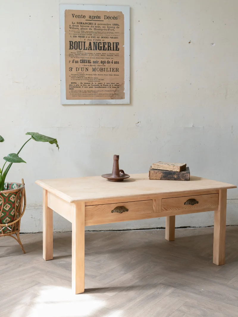 Léonie, la table basse en bois N°1136