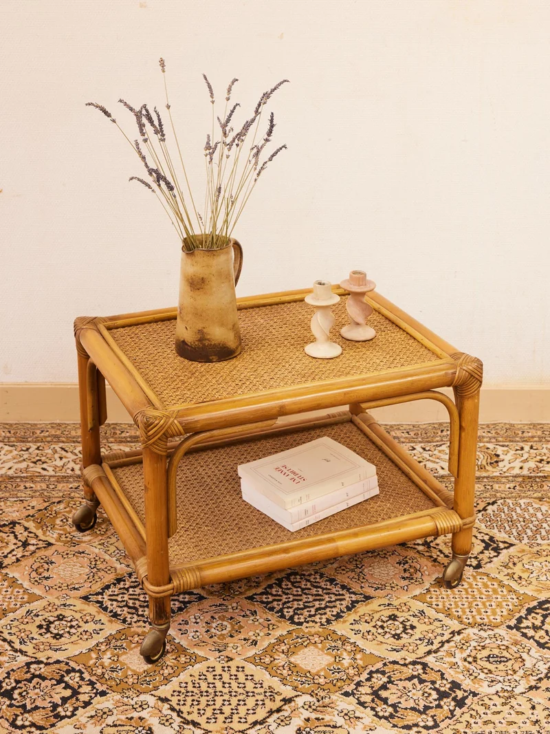 Léonie, la table basse en rotin N°1141