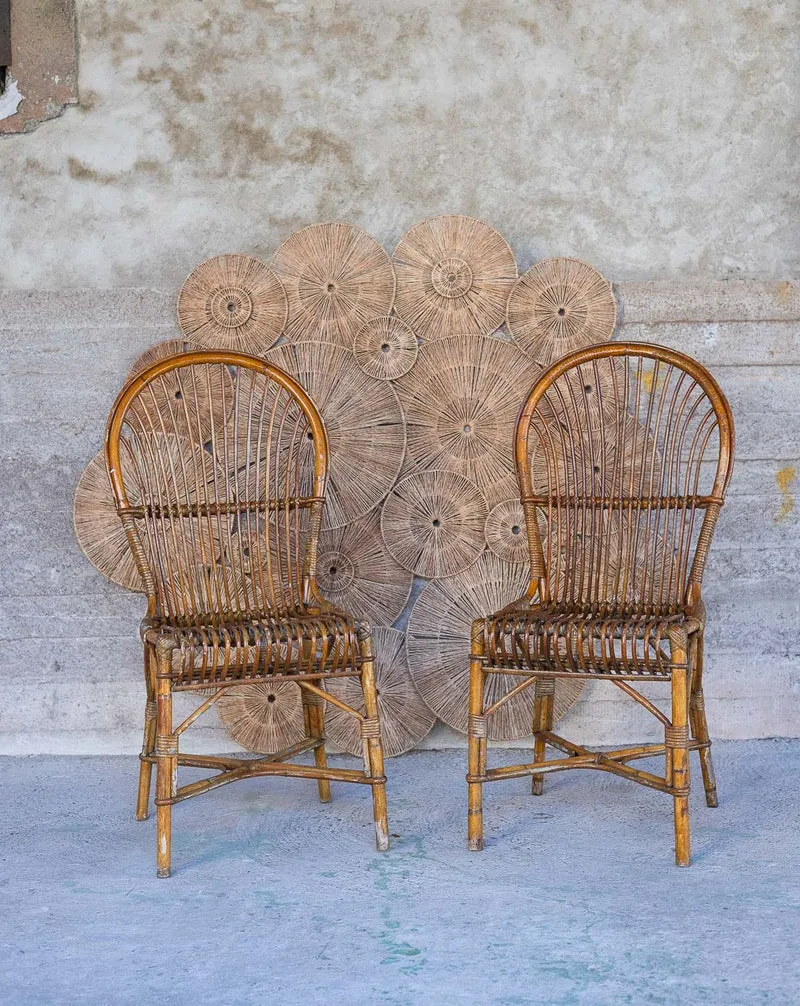 Claude, la paire de chaises en osier N°1571