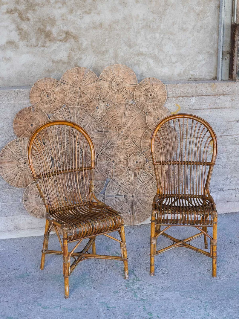 Claude, la paire de chaises en osier N°1571