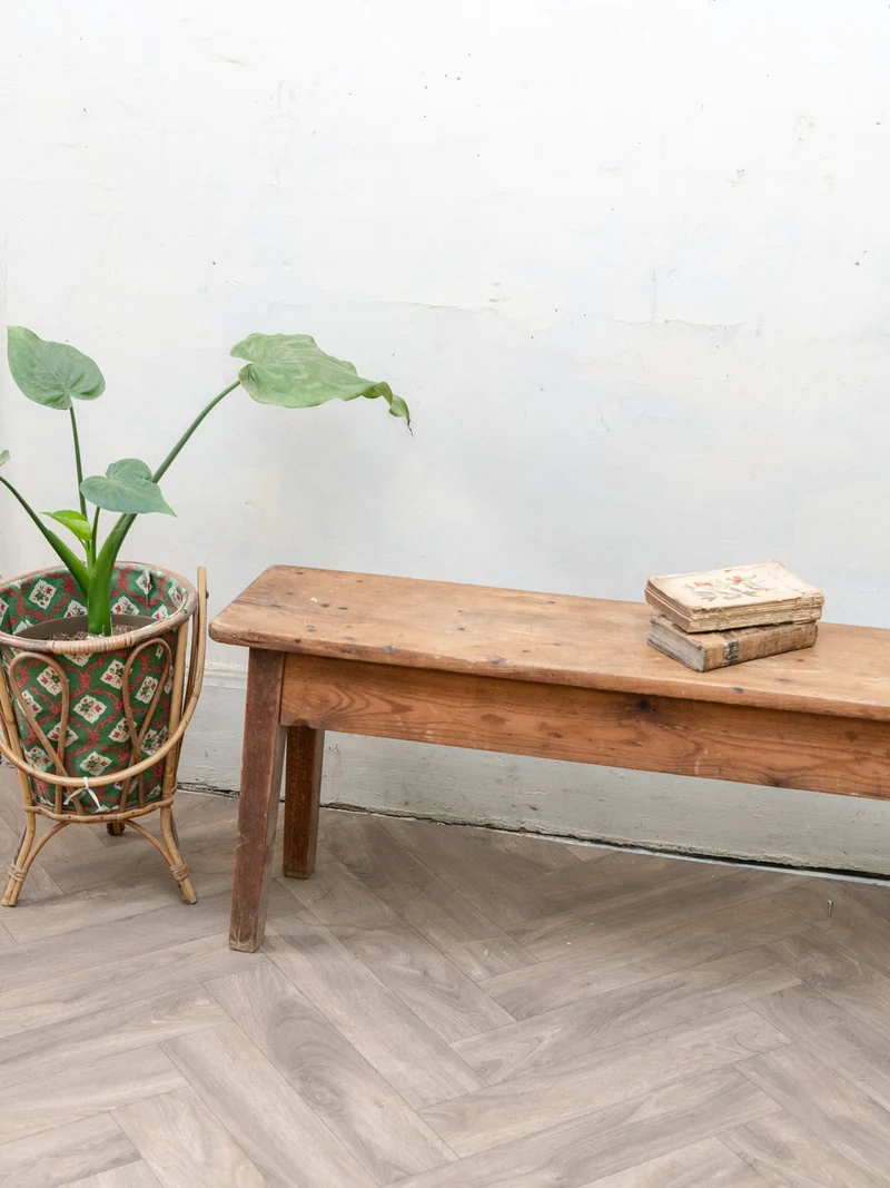 Antoine, le long banc en bois N°504