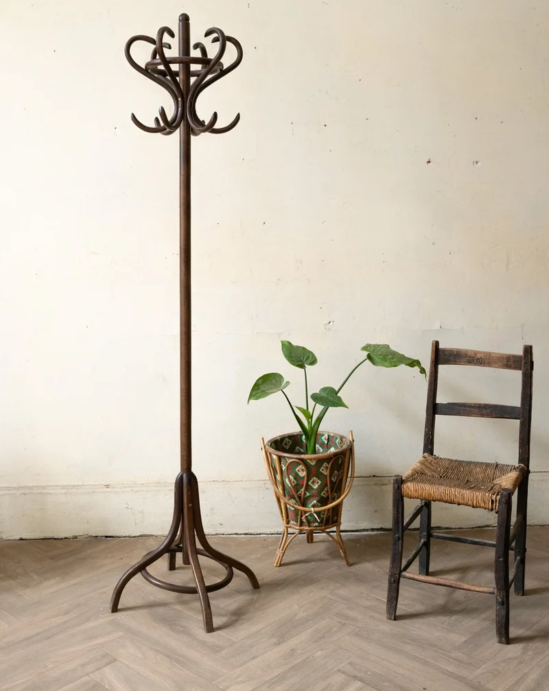 Max, le porte-manteau perroquet en bois foncé N°465