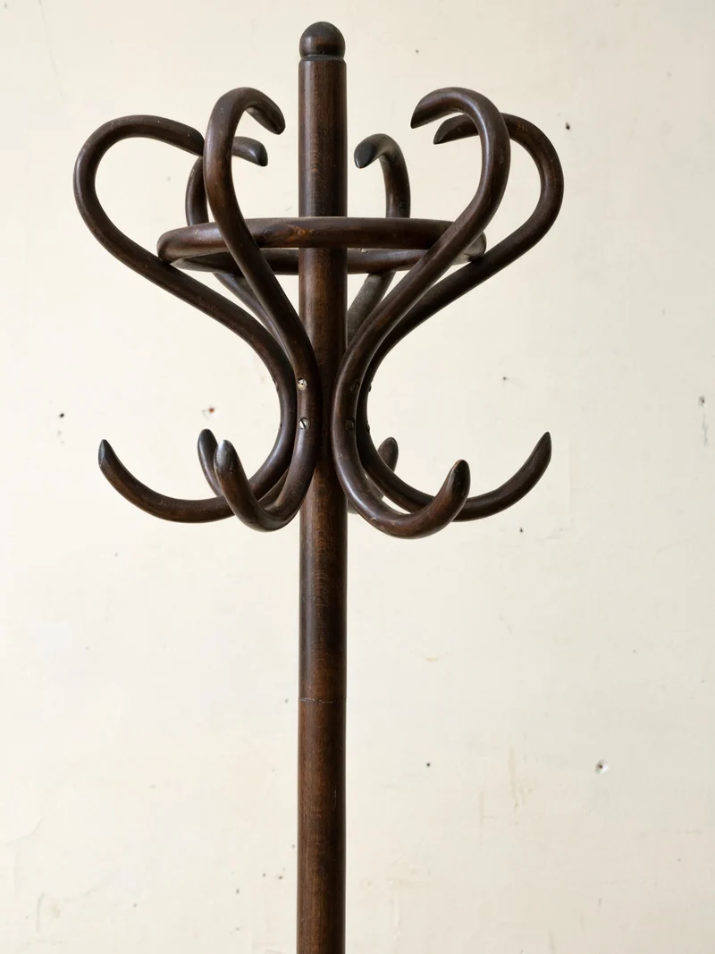 Max, le porte-manteau perroquet en bois foncé N°465