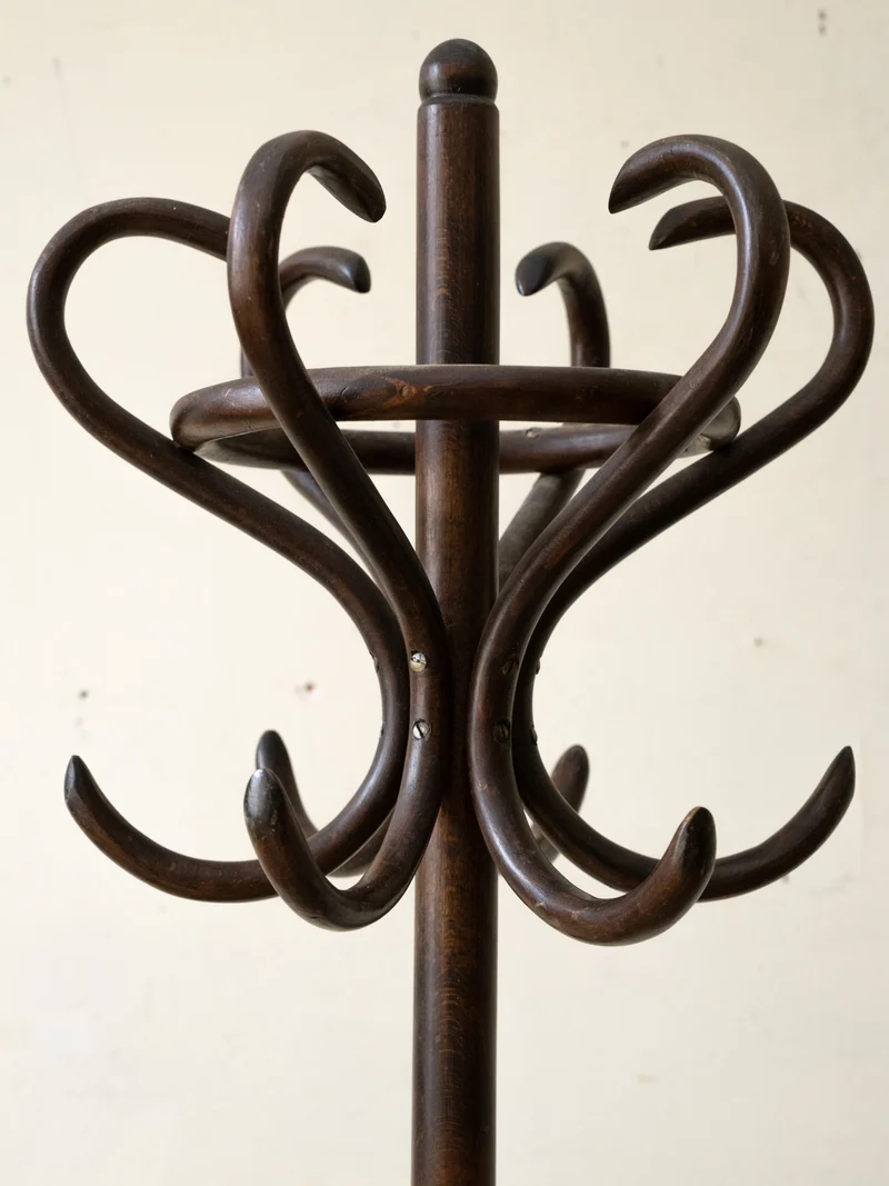 Max, le porte-manteau perroquet en bois foncé N°465