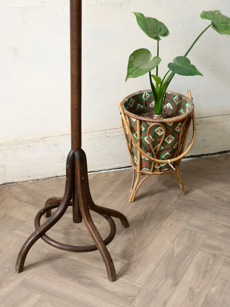Max, le porte-manteau perroquet en bois foncé N°465