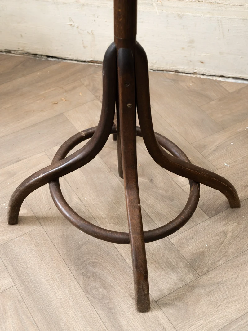 Max, le porte-manteau perroquet en bois foncé N°465