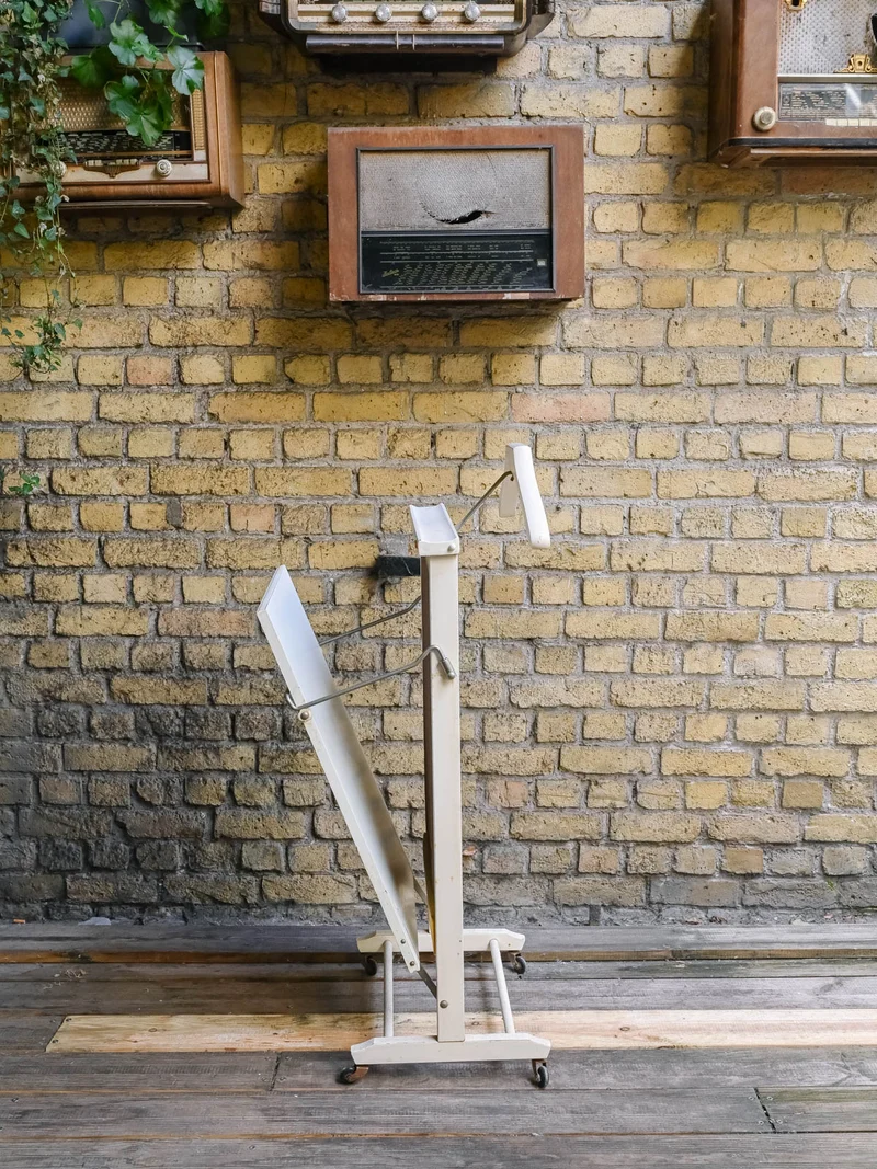 Max, l'ancien valet d'hôtel N°459