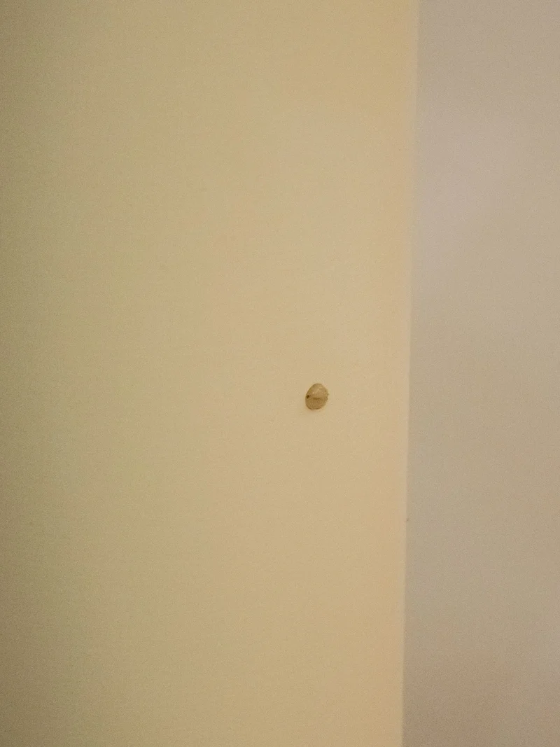 Julien, le lampadaire fin en rotin N°149