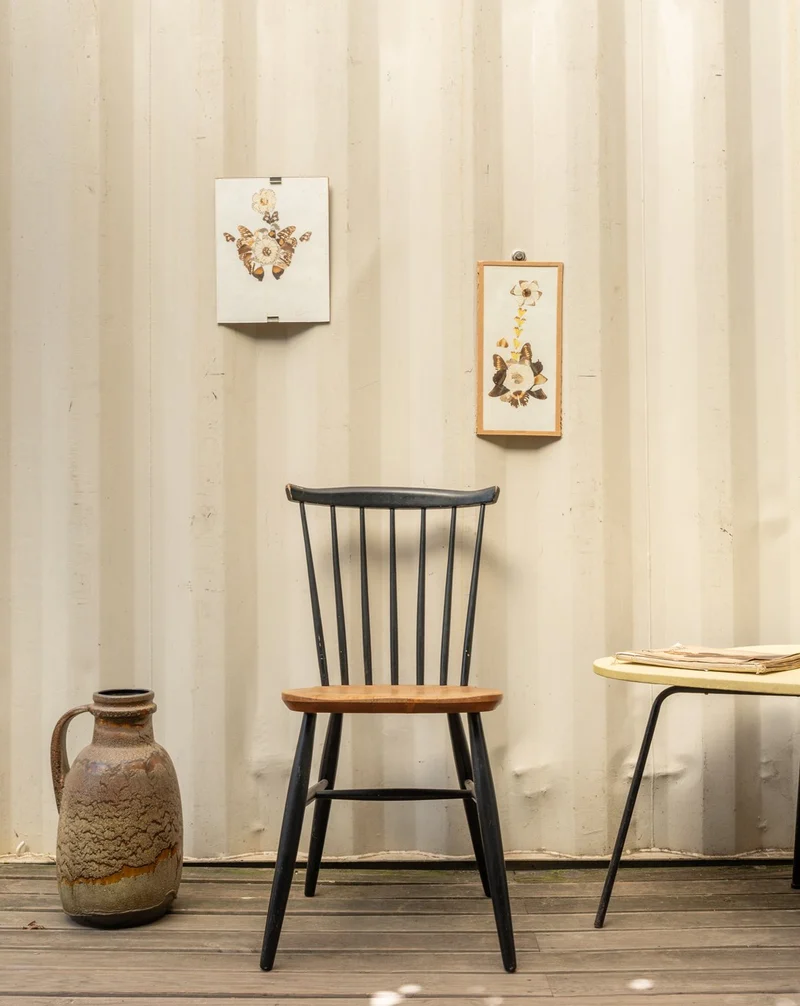 Claude, la chaise en bois clair et noir N°1517
