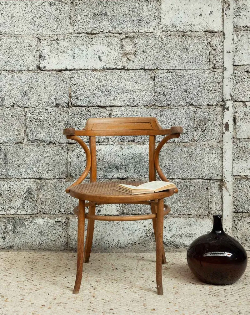 Ernest, le charmant fauteuil N°1529